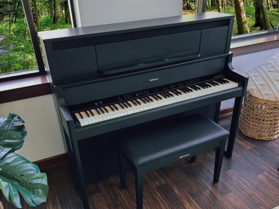 Hình ảnh chi tiết ROLAND LX-9 CB góc chụp 2